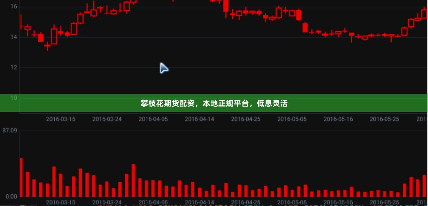攀枝花期货配资，本地正规平台，低息灵活